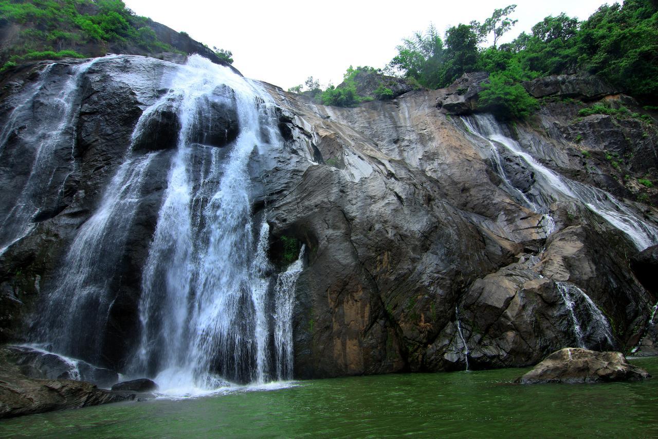 Punarjani Ayurvedic Resorts Ramakkalmedu Exterior foto